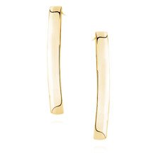 Silver (925) earrings. gold-plated