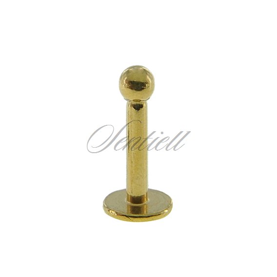 Stainless steel (316L) labret piercing with ball - for lips and chin - golden