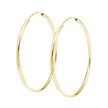 Silver (925) gold-plated earrings hoop