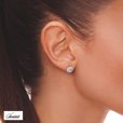 Silver (925) Earrings white zirconia