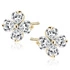 14K Gelbgold (e-coating)