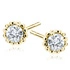 14K Oro amarillo (e-coating)