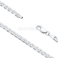 Silver (925) chain Ø 100