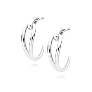 Silver (925) earrings