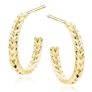 Silver (925) gold-plated earrings