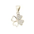 14K Yellow gold (e-coating)