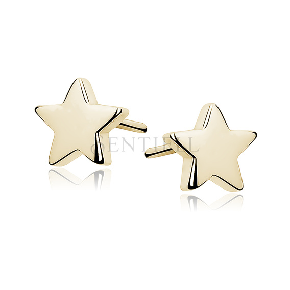 Silver (925) earrings stars gold-plated