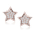 18K Rose gold (e-coating)