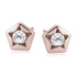 18K Oro rosa (e-coating)