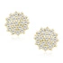 14K Oro amarillo (e-coating)