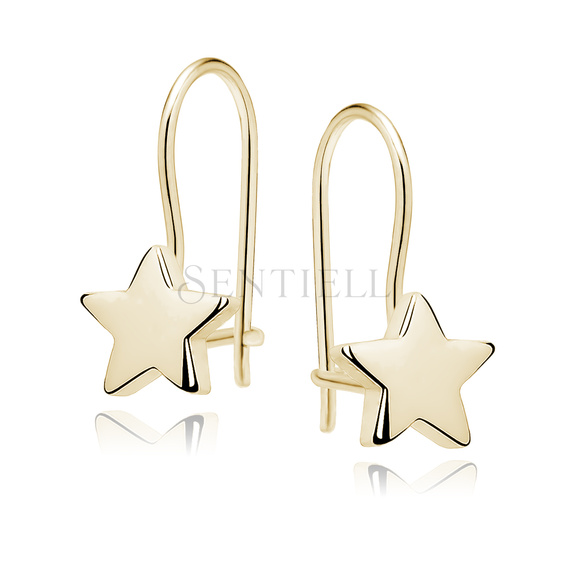 Silver (925) earrings stars gold-plated