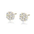 14K Gelbgold (e-coating)