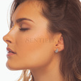 Silver (925) elegant earrings with zirconia