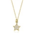 24K Oro amarillo (e-coating)