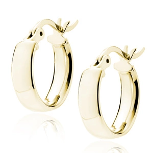 Silver (925) gold-plated earrings hoops - highly polished