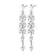 Silver (925) Earrings long leafs with zirconia