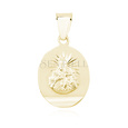 Silver (925) gold-plated pendant - Jesus Christ / Scapular Mary