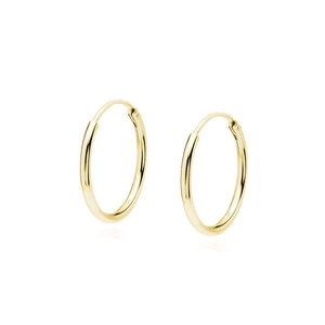 Silver (925) gold-plated earrings hoop