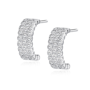 Silver (925) elegant earrings with zirconia