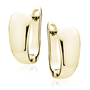 Silver (925) gold-plated earrings