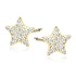14K Oro amarillo (e-coating)