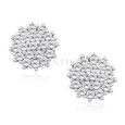 Silver (925) earrings with zirconia