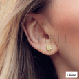 Silver (925) Earrings zirconia microsetting flowers gold plated