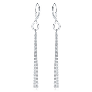 Silver (925) earrings - oval with chains