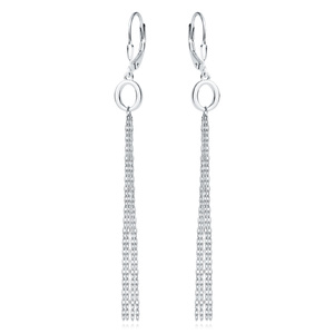 Silver (925) earrings - oval with chains