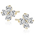 14K Gelbgold (e-coating)