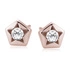 18K Oro rosa (e-coating)