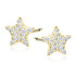 14K Oro amarillo (e-coating)