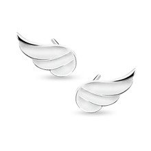 Silver (925) earrings - wings