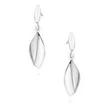 Silver (925) elegant earrings