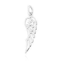 Silver pendant (925) wing
